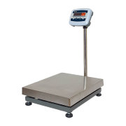 Весы РМ1Е-100 4050