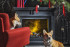 Портал Dimplex Coventry Gray - Серый