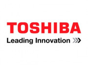 Toshiba Дополнительная плата (TCB-PCDM2E)