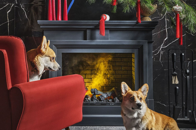 Каминокомплект Coventry - Белый / Кирпич с очагом Cassette 600 LNH-INT (с дровами)